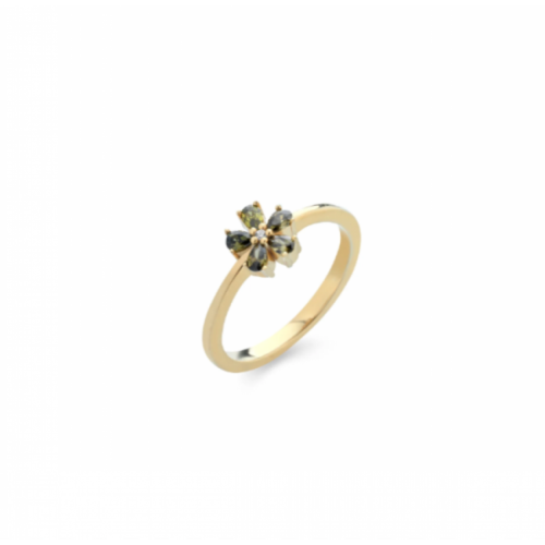 LAURA P. Coctail Δαχτυλίδι με επιχρυσωμένο Ασήμι 925 και Ζιργκόν AN0108GV/16