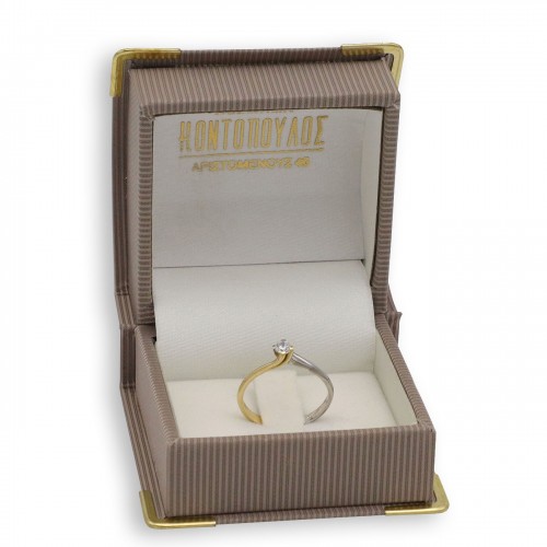 14K Χρυσό Δίχρωμο Δαχτυλίδι με Ζιργκόν DK166KN