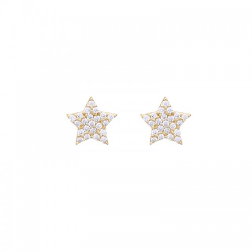 14K Χρυσά Σκουλαρίκια με Ζιργκόν SK5066O