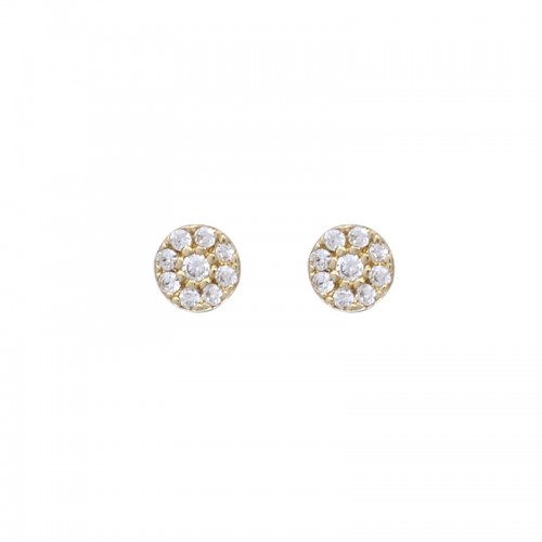 14K Χρυσά Σκουλαρίκια με Ζιργκόν SK5079O