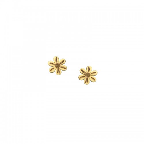 14K Χρυσά Σκουλαρίκια XX197