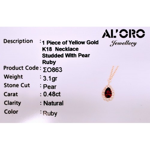 18K Χρυσό Κολιέ με Ρουμπίνι και Ζιργκόν KLSO863