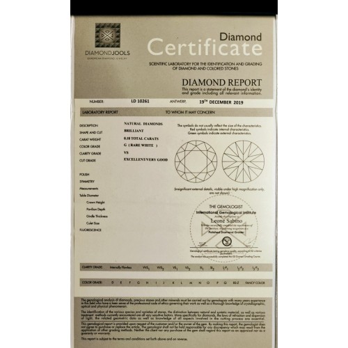 18Κ Λευκόχρυσα Σκουλαρίκια με Διαμάντι LE179