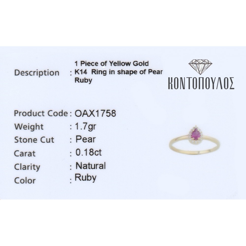 14K Χρυσό Δαχτυλίδι με Ρουμπίνι & Ζιργκόν OAX1758R 14K Χρυσό Δαχτυλίδι με Ρουμπίνι & Ζιργκόν OAX1758R