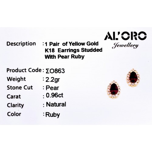 18K Χρυσά σκουλαρίκια με Ρουμπίνι και Ζιργκόν SKSO863