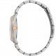 ESPRIT Aubrey Two Tone Set Watch Stainless Steel Bracelet ES1L289M0095