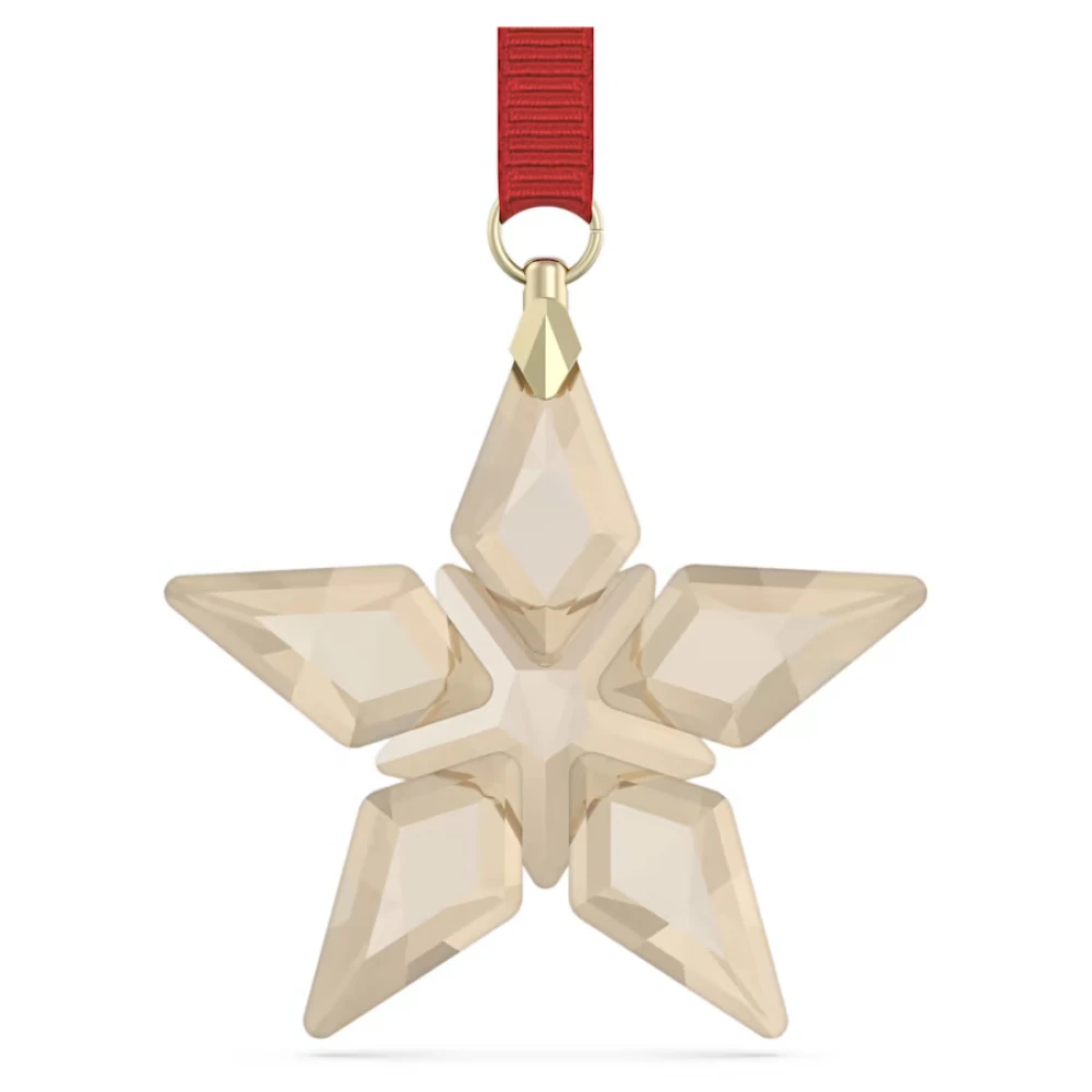 SWAROVSKI Annual Edition Στολίδι 2023 5648747 SWAROVSKI Annual Edition Στολίδι 2023 5648747