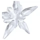 SWAROVSKI Ετήσια Little Star έκδοση 2025 5701825