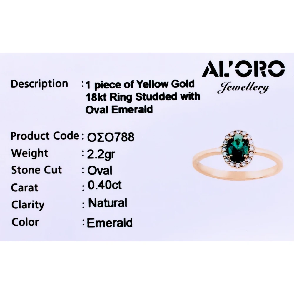 18K Χρυσό Δαχτυλίδι με Σμαράγδι & Ζιργκόν DAOSO788