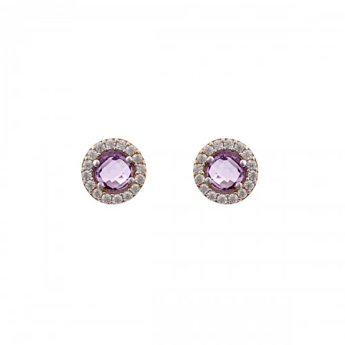 14K Χρυσά Σκουλαρίκια με Ζιργκόν SK5012O