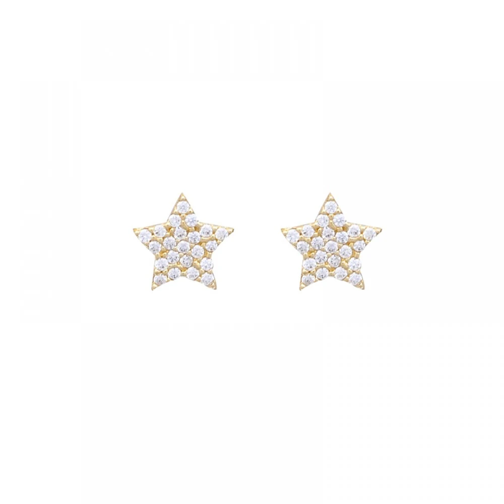 14K Χρυσά Σκουλαρίκια με Ζιργκόν SK5066O