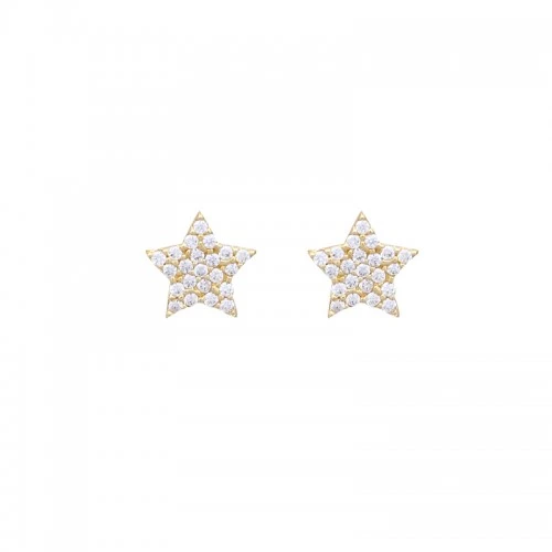 14K Χρυσά Σκουλαρίκια με Ζιργκόν SK5066O