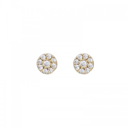 14K Χρυσά Σκουλαρίκια με Ζιργκόν SK5079O