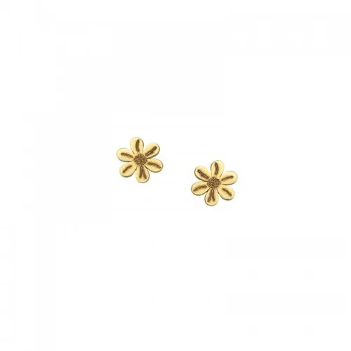 14K Χρυσά Σκουλαρίκια XX197