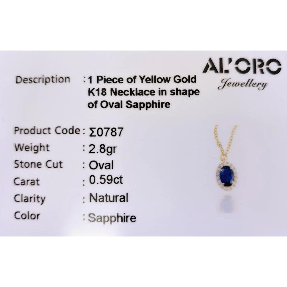 18K Χρυσό Κολιέ με Ζαφείρι και Ζιργκόν KLSO787