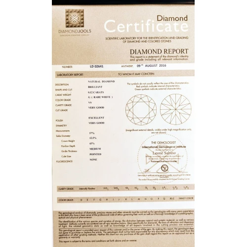 18K Λευκόχρυσο Κολιέ με Διαμάντι LP013