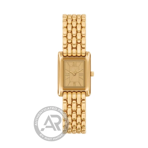 MICHAEL KORS Essex Ρολόι με Χρυσό Μπρασελέ από Ανοξείδωτο Ατσάλι MK4997