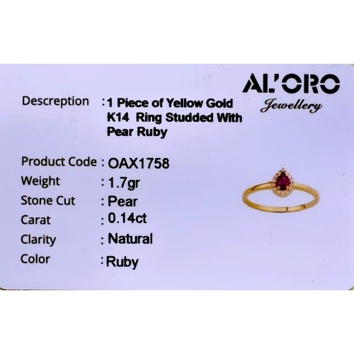 14K Χρυσό Δαχτυλίδι με Ρουμπίνι & Ζιργκόν OAX1758R2