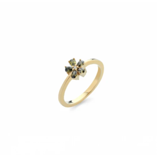 LAURA P. Coctail Δαχτυλίδι με επιχρυσωμένο Ασήμι 925 και Ζιργκόν AN0108GV/16